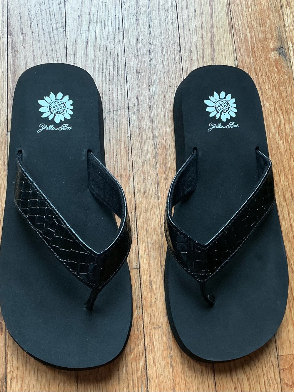 Yellow Box Fiorela Black Croc Flip Flops Sz 9 NWOB!